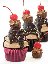Peanut Butter and Chocolate Cupcake