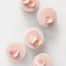 mwd104765_sum09_rose_hd